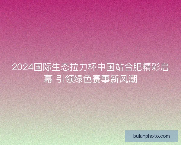 2024国际生态拉力杯中国站合肥精彩启幕 引领绿色赛事新风潮